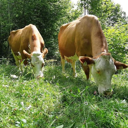 Hansenhof Prägraten Eksteriør billede