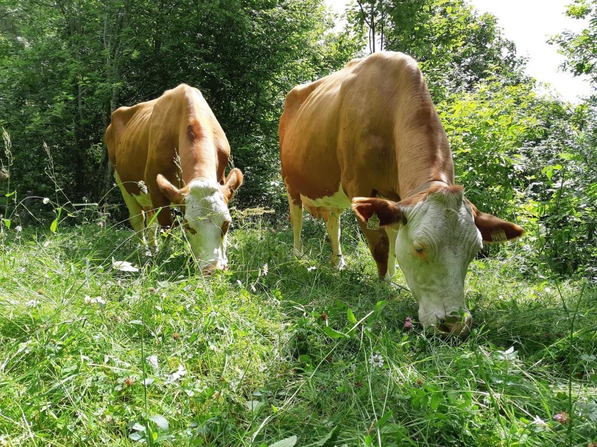 Hansenhof Prägraten Eksteriør billede